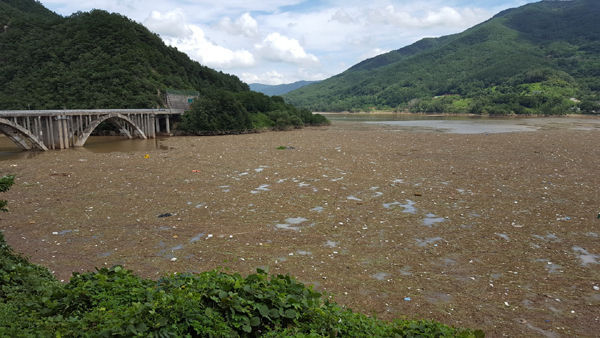 최근 집중호우로 잡풀 및 생활쓰레기가 쌓여있는 경남 합천호 상류