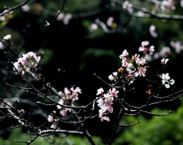 사진촬영 : 의령군청 홍보미디어담당 제광모주무관