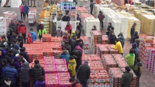 설명절 농산물 시장과 함게 하세요!