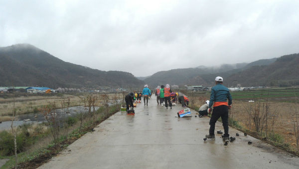 산청군 생비량면 시매마을에서 장란마을까지의 뚝방길이 산책로로 조성된다