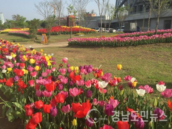 사진제공=진주시