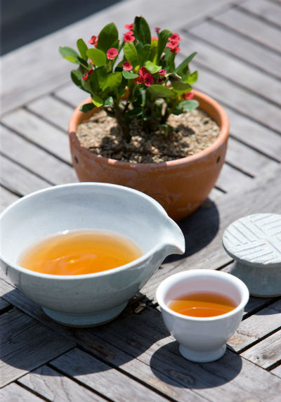 녹차의 효능에 대한 다양한 연구 결과가 발표되어 눈길을 끈다