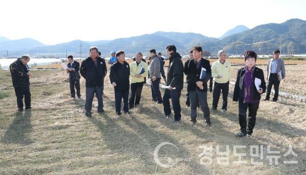 축산분뇨 액비 살포 벼농사 피해 현장 방문 모습