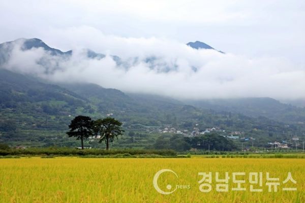 하동군 악양면 평사리 들판