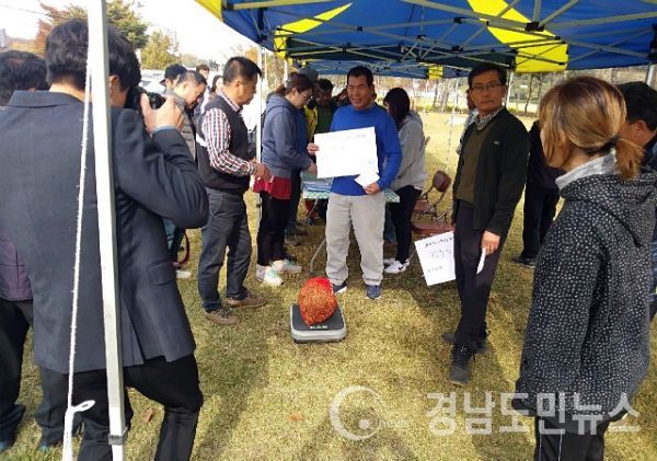 산양삼 종자 지원사업을 위해 130여 농가에 2100kg의 산양삼 종자를 배부했다.(사진/함양군)