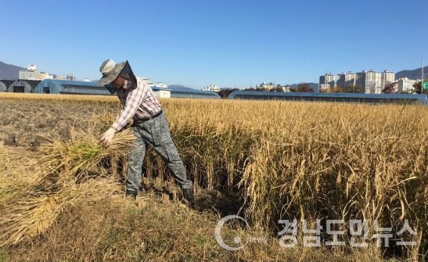 발열성 질환 피해 보상금 신청하세요.(사진/거창군)