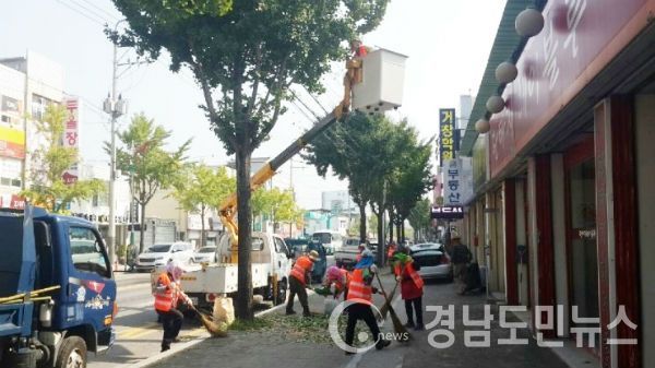 산림·조경분야 일자리사업 참여자를 공개모집 한다.(사진/거창군)