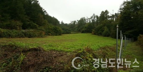 불법전용산지 양성화를 오는 6월 2일까지 신청 받는다.(사진/거창군)