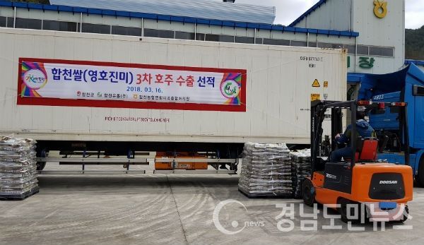 16일 영호진미 6톤을 올해 처음으로 호주에 수출했다.(사진/합천군)