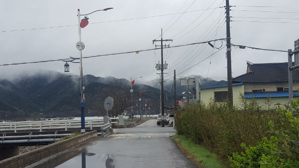 산청군 신등면이 노후 가로등을 딸기 모형 가로등으로 교체하면서 지역 특산물인 딸기 홍보 효과를 기대하고 있다