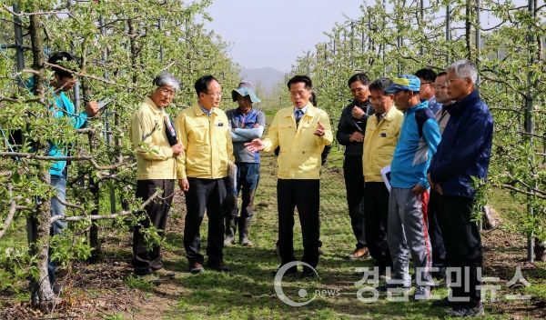 ‘동해피해 긴급대책회의’를 개최하고 지원방안을 논의했다.(사진/경남도)