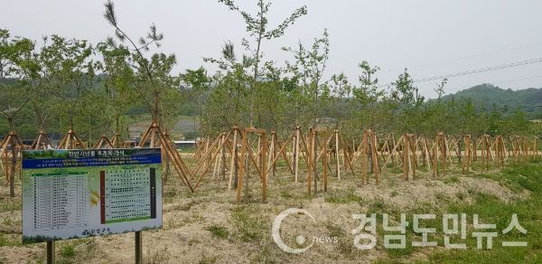 함양상림공원 내 천년의 정원(사진/함양군)