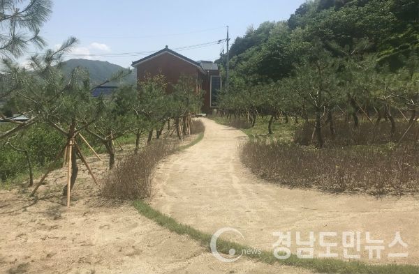 함양군, 함양정신요양원 나눔숲 조성(사진/함양군)