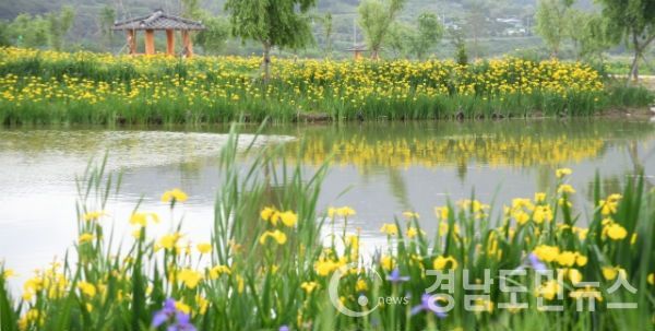 거창 창포원(사진/거창군)