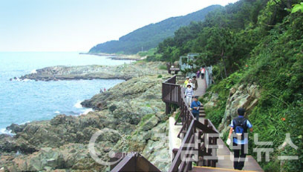 부산 이기대에 위치한 갈매길 사진.(사진/부산시)