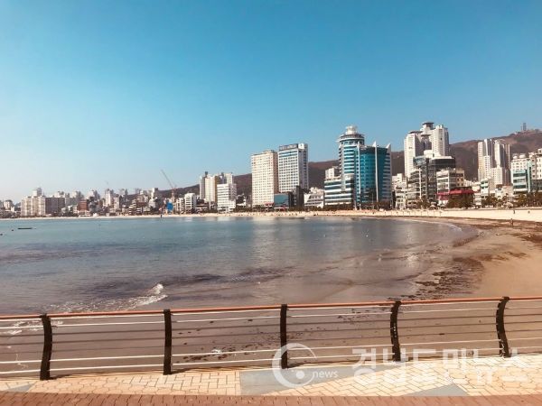 부산시 보건환경연구원은 부산지역 7개 해수욕장에 대한 수질 조사를 실시한 결과 모든 해수욕장이 수준 기줄에 적합한 것으로 나타났다고 20일 밝혔다.