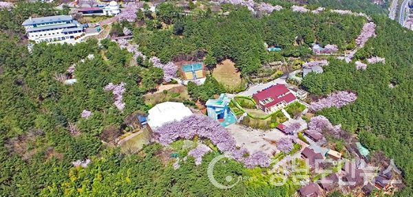 부산 금련산청소년수련원(이하 수련원)은 올 여름방학을 맞아 '청소년 숲 체험 캠프'와 '나는야 사진작가'를 운영한다고 13일 밝혔다. (사진/수영구홈페이지)