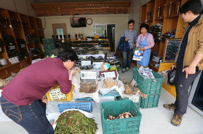 산청약초시장은 산청 경호강 물페스티벌과 연계하여 약초할인판매를 실시한다