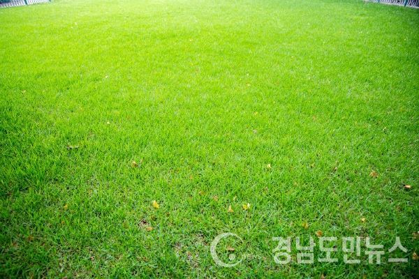 부산시는 2019년부터 국제축구대회 유치를 위해 지원을 아끼지 않을 전망이다. (사진/게티이미지뱅크)