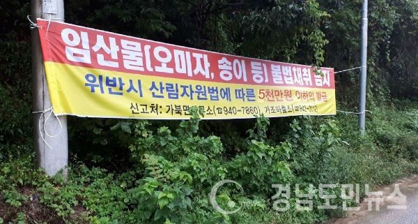 가북면, 농·임산물 불법채취 강력단속 실시(사진/거창군)