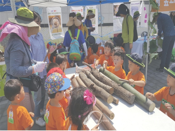작년 '숲체험 한마당' 행사모습.(사진/부산시)