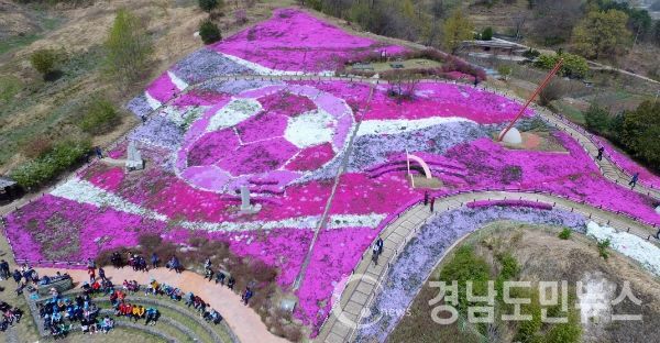 산청 생초 국제조각공원 꽃잔디축제 전경(사진/산청군)