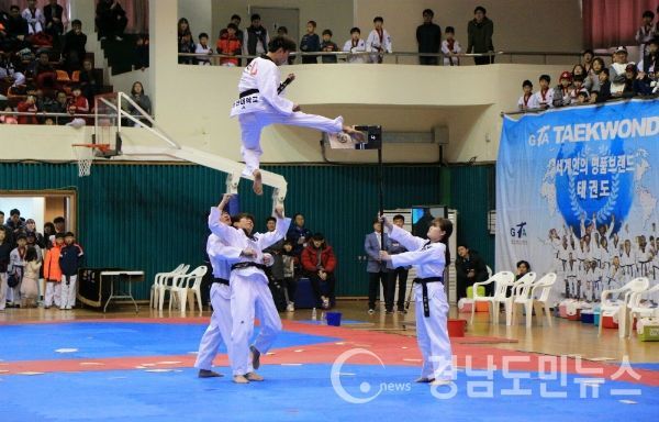 2017 경남 태권도 한마당 대회(사진/산청군)