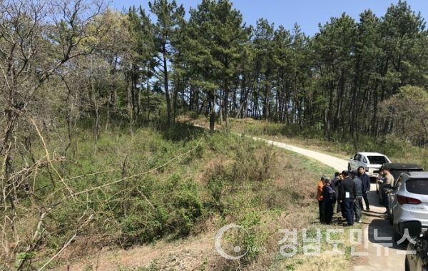 청정 지리산 기슭의 하동군에 부가가치가 높고 산업화가 가능한 고소득 유망 신품종인 산초 재배단지가 전국 최초로 조성된다.(사진/하동군)