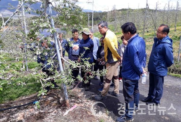 산청 지리산사과작목반 선진지 찾아 현장교육(사진/산청군)