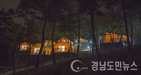 산청 동의보감촌 숲속야영장 글램핑장 야경(사진/산청군)