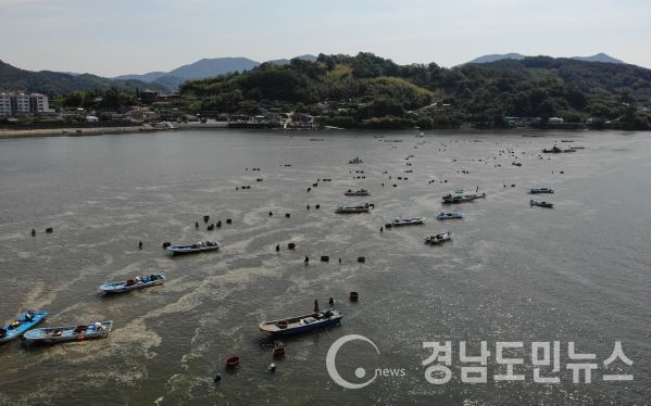 물 맑기로 유명한 하동 섬진강에 요즘 1급수에서만 자란다는 재첩 잡이가 한창이다.(사진/하동군)