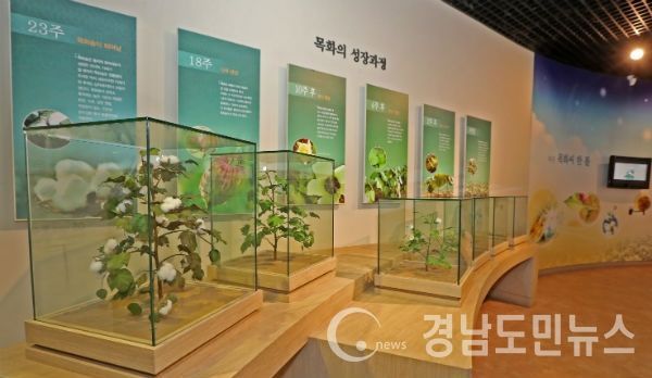 산청군 단성면 목면시배유지 전시실(사진/산청군)