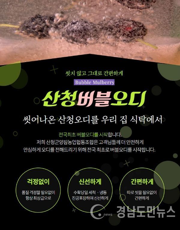 산청양잠농업협동조합법인 씻어나온 오디 홍보리플릿(사진/산청군)