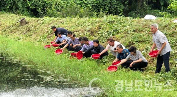 산청군이 우리나라 토속 어종자원 보호와 증식을 위해 붕어·잉어 어린고기 25만 마리를 방류했다.(사진/산청군)