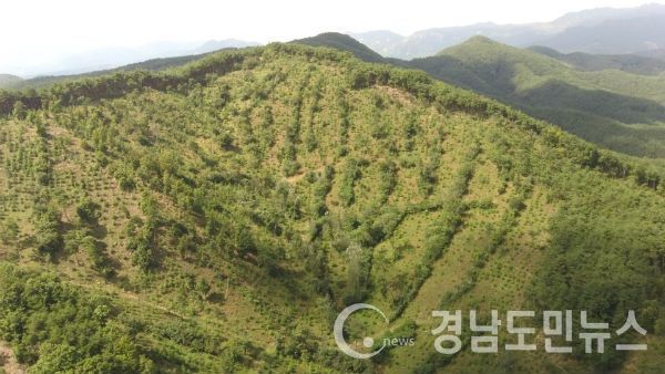 월계리 산19-원경1