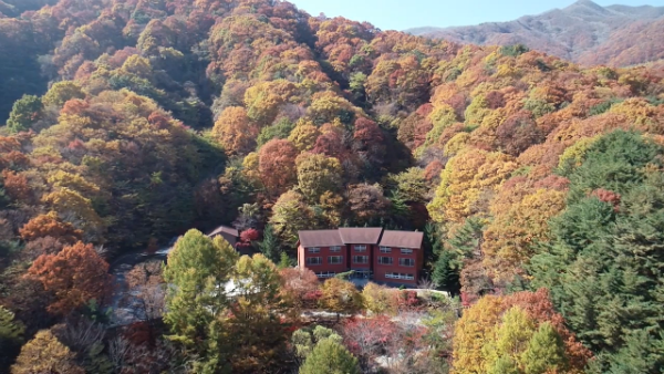 금원산자연휴양림 전경