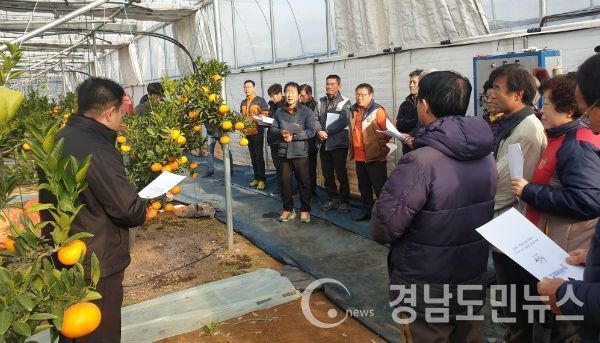 산청군농업기술센터가 기후변화에 대응해 새로운 소득원을 발굴하기 위한 ‘아열대 소득과수 도입 시범사업 평가회’를 가졌다.