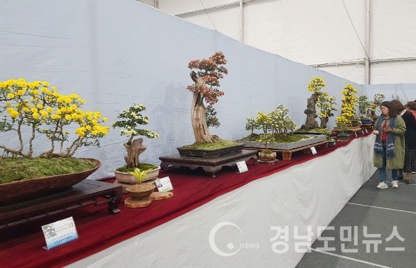 함양군은 농업기술센터 실증시범포에서 국화분재에 대한 이론과 실습으로 분재전문가 육성은 물론 주민참여형 체험활동으로 성장시키기 위해 국화분재반 교육생을 모집한다.