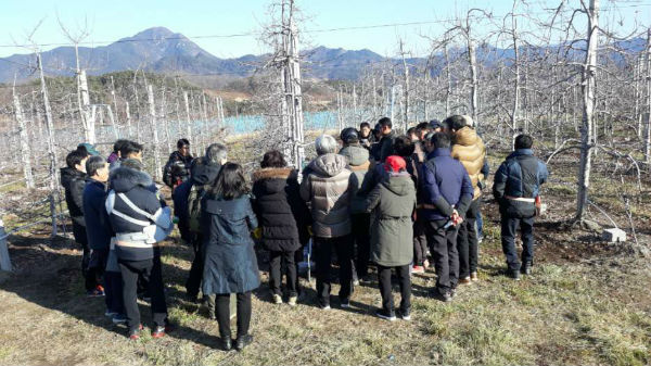 경상남도농업기술원은 도내 고품질 사과 생산으로 인한 사과산업 발전과 농가의 소득향상에 기여하고자 ‘사과 전문 전정사 양성을 위한 사과 수형별 전정교육’을 15일부터 시작한다고 밝혔다.