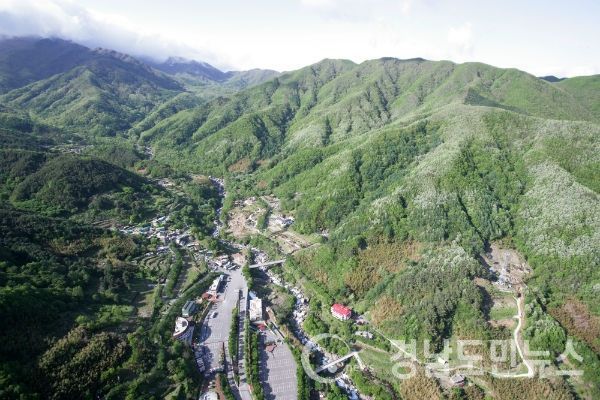 산청군은 오는 12일까지 ‘2021년도 농림축산식품사업(산림소득분야)’ 신청을 접수한다고 3일 밝혔다.