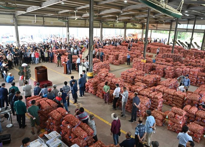 창녕농협 공판장에서 마늘경매가 이루어지는 모습