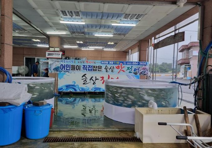 “가을 전어는 참아도 여름 전어는 못 참지”