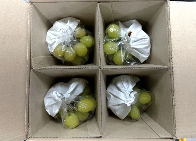 ‘포도 온라인 배송’ 안심 상자