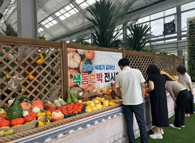 색동호박 전시회 보러 의령 아열대식물원 오세요