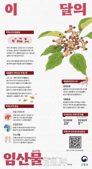 8월 이 달의 임산물(헛개나무)