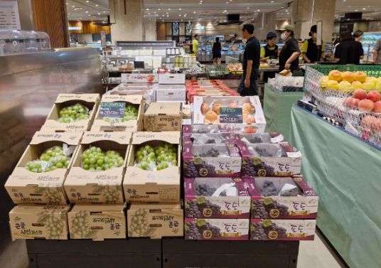 롯데백화점(울산점) 식품관 밀양 복숭아, 포도 등 진열 사진