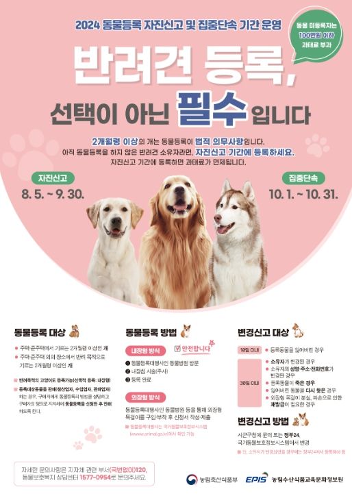 동물등록 자진신고 홍보포스터