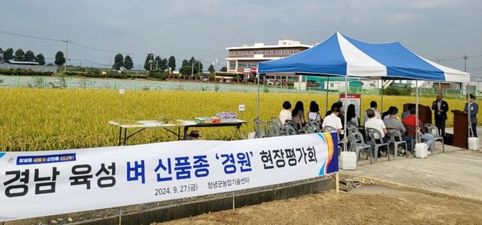 창녕군, 경남 육성 벼 신품종 경원 현장평가회 개최