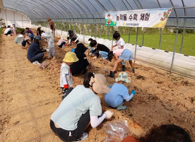 “함께 고구마 캐니 기분 좋구마~”