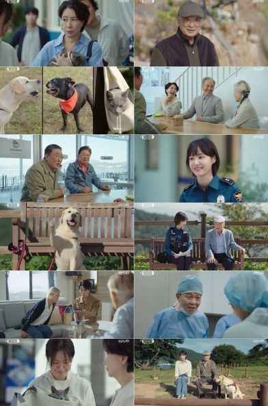 사진 제공: KBS 2TV 수목드라마 <개소리> 방송 캡처